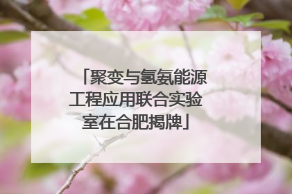 聚变与氢氨能源工程应用联合实验室在合肥揭牌
