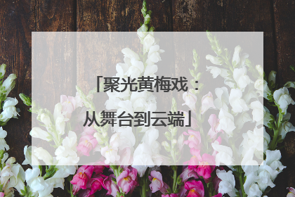 聚光黄梅戏：从舞台到云端