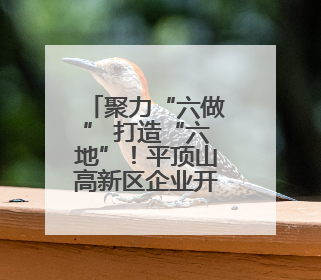 聚力“六做” 打造“六地”！平顶山高新区企业开办跑出“加速度”