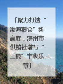 聚力打造“渤海粮仓”新高度，滨州市供销社谱写“三夏”丰收乐章