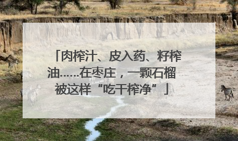 肉榨汁、皮入药、籽榨油……在枣庄，一颗石榴被这样“吃干榨净”