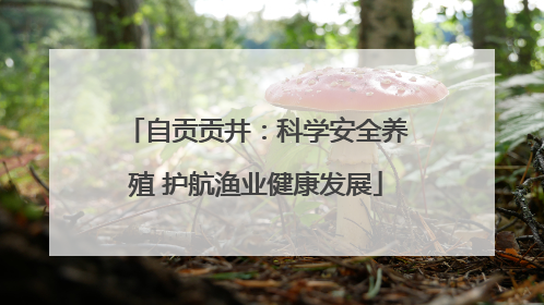 自贡贡井：科学安全养殖 护航渔业健康发展