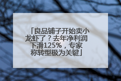 良品铺子开始卖小龙虾了？去年净利润下滑125%，专家称转型极为关键