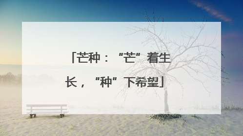 芒种：“芒”着生长，“种”下希望