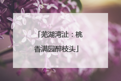 芜湖湾沚：桃香满园醉枝头