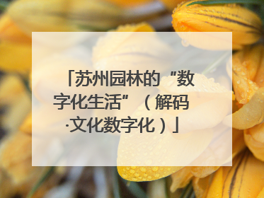 苏州园林的“数字化生活”（解码·文化数字化）