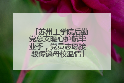 苏州工学院后勤党总支暖心护航毕业季，党员志愿接驳传递母校温情