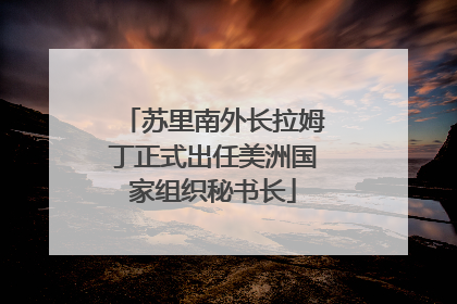 苏里南外长拉姆丁正式出任美洲国家组织秘书长