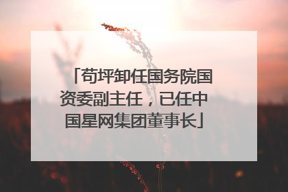 苟坪卸任国务院国资委副主任，已任中国星网集团董事长