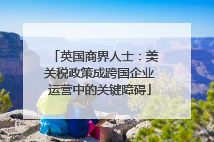 英国商界人士：美关税政策成跨国企业运营中的关键障碍