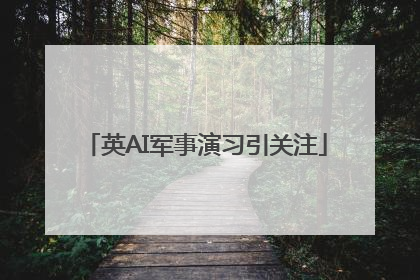 英AI军事演习引关注