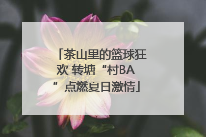 茶山里的篮球狂欢 转塘“村BA”点燃夏日激情