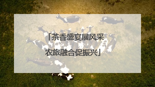 茶香盛宴展风采 农旅融合促振兴