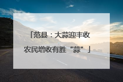 范县：大蒜迎丰收 农民增收有胜“蒜”