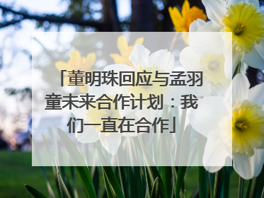 董明珠回应与孟羽童未来合作计划：我们一直在合作