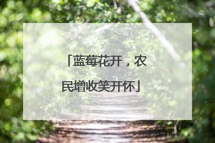 蓝莓花开，农民增收笑开怀