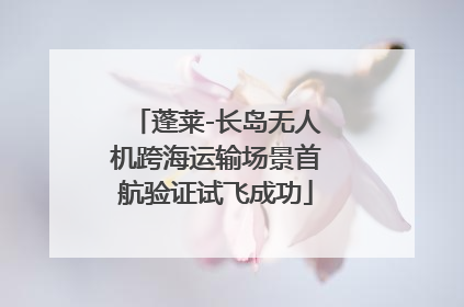 蓬莱-长岛无人机跨海运输场景首航验证试飞成功