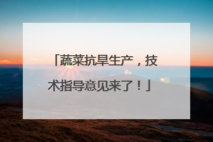 蔬菜抗旱生产，技术指导意见来了！