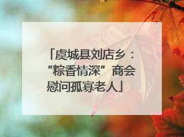 虞城县刘店乡：“粽香情深”商会慰问孤寡老人