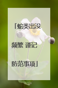 蛇类出没频繁 谨记防范事项
