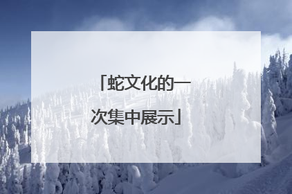 蛇文化的一次集中展示