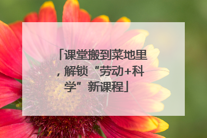 课堂搬到菜地里，解锁“劳动+科学”新课程