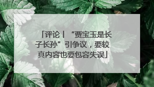 评论丨“贾宝玉是长子长孙”引争议，要较真内容也要包容失误