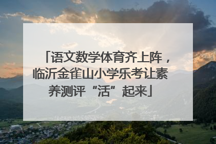 语文数学体育齐上阵，临沂金雀山小学乐考让素养测评“活”起来