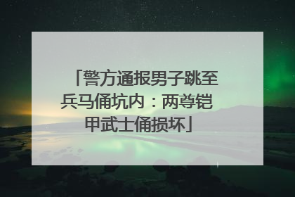 警方通报男子跳至兵马俑坑内：两尊铠甲武士俑损坏