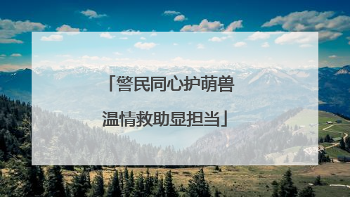 警民同心护萌兽 温情救助显担当
