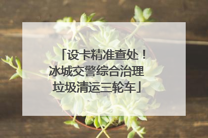 设卡精准查处！冰城交警综合治理垃圾清运三轮车
