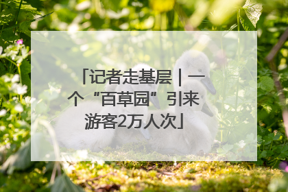 记者走基层｜一个“百草园”引来游客2万人次