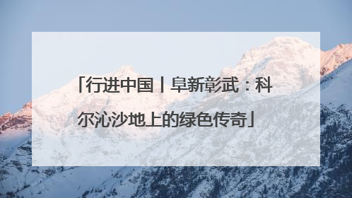 行进中国丨阜新彰武：科尔沁沙地上的绿色传奇