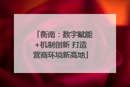 衡南：数字赋能+机制创新 打造营商环境新高地