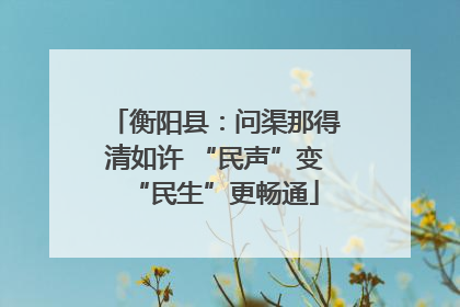 衡阳县：问渠那得清如许 “民声”变“民生”更畅通