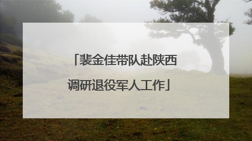 裴金佳带队赴陕西调研退役军人工作