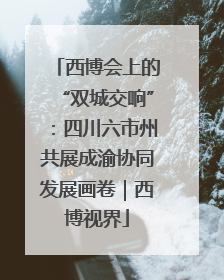 西博会上的“双城交响”：四川六市州共展成渝协同发展画卷｜西博视界