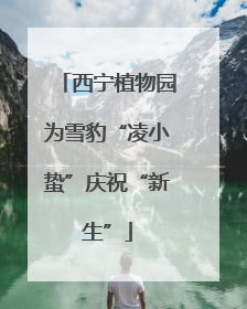 西宁植物园为雪豹“凌小蛰”庆祝“新生”