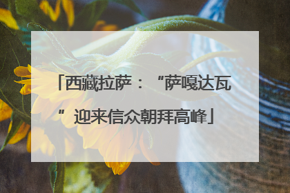 西藏拉萨：“萨嘎达瓦”迎来信众朝拜高峰