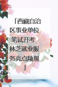 西藏自治区事业单位笔试开考 林芝就业服务亮点频现
