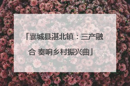 襄城县湛北镇：三产融合 奏响乡村振兴曲
