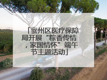 襄州区医疗保障局开展“粽香传情，家国情怀”端午节主题活动