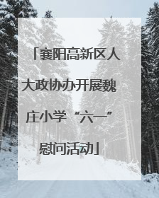 襄阳高新区人大政协办开展魏庄小学“六一”慰问活动