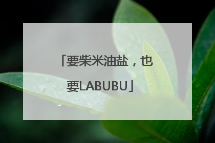 要柴米油盐，也要LABUBU