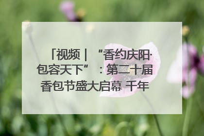 视频｜“香约庆阳·包容天下”：第二十届香包节盛大启幕 千年非遗香飘世界