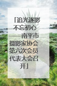 追光逐影 不忘初心——南平市摄影家协会第六次会员代表大会召开