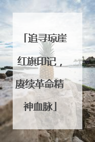 追寻琼崖红旗印记，赓续革命精神血脉