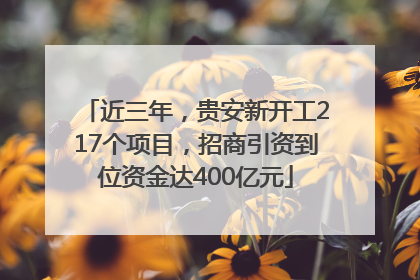 近三年，贵安新开工217个项目，招商引资到位资金达400亿元