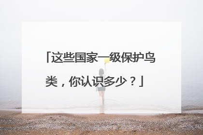 这些国家一级保护鸟类，你认识多少？