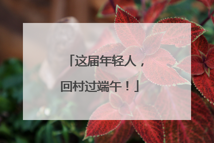 这届年轻人，回村过端午！